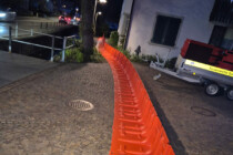 Reissender Altbach