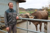Menzi Obst- und Weinbau