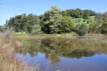 Bindende Vereinbarung im Eigental