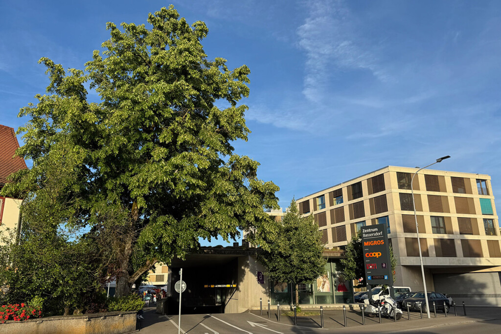 Bassersdorf zählt sein Grün