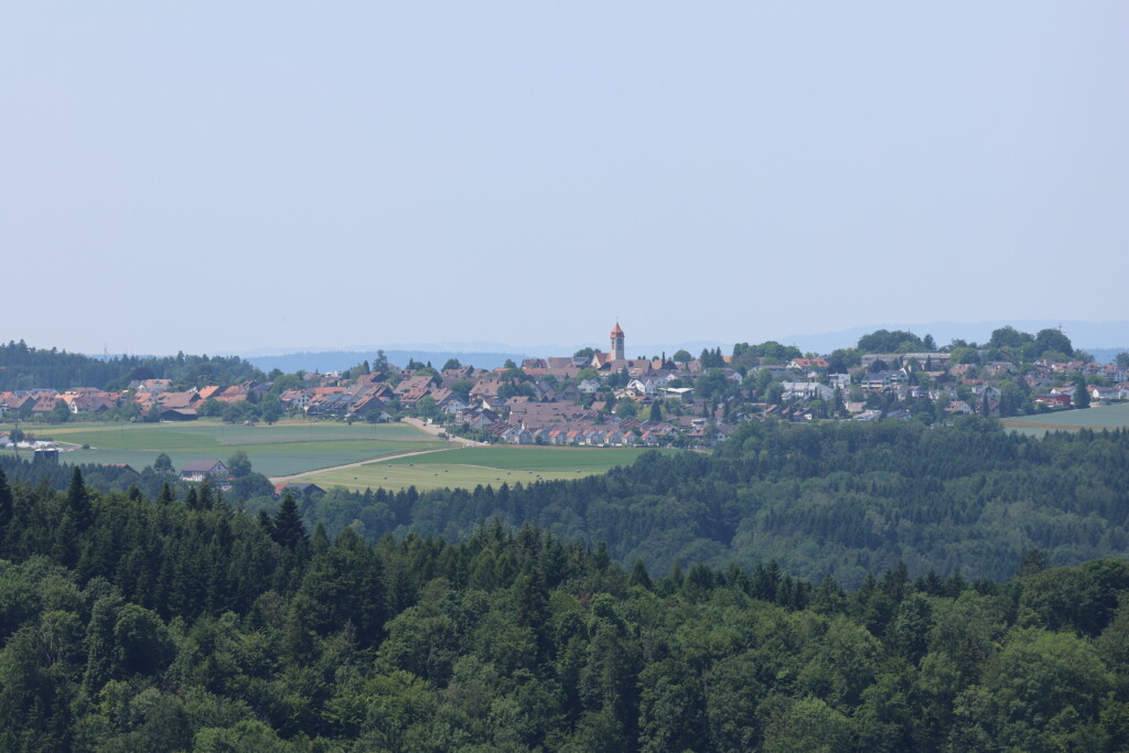 Brüttener entdecken Kyburg gemeinsam bei Jubiläumsführung